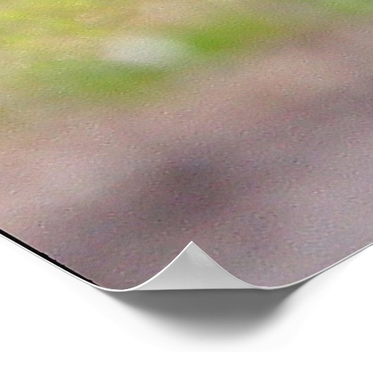 玄馬ポスター ポスター (角)