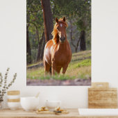 玄馬ポスター ポスター (キッチン)