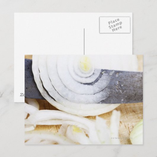 玉ねぎの切り身 ポストカード (正面/裏面)