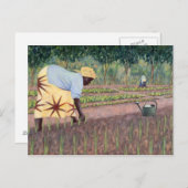 玉ねぎの植え付け2005 ポストカード (正面/裏面)