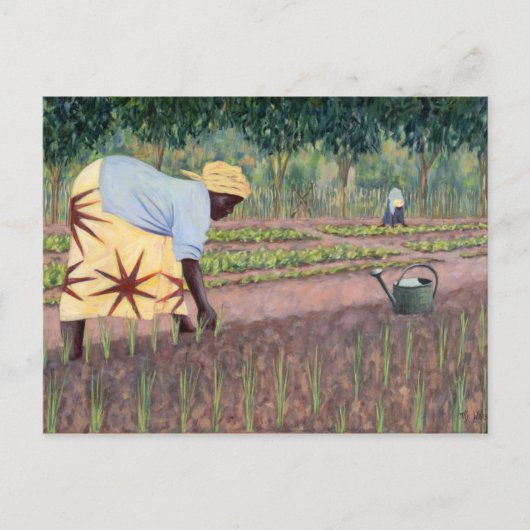 玉ねぎの植え付け2005 ポストカード (正面)