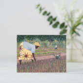 玉ねぎの植え付け2005 ポストカード (スタンド正面)