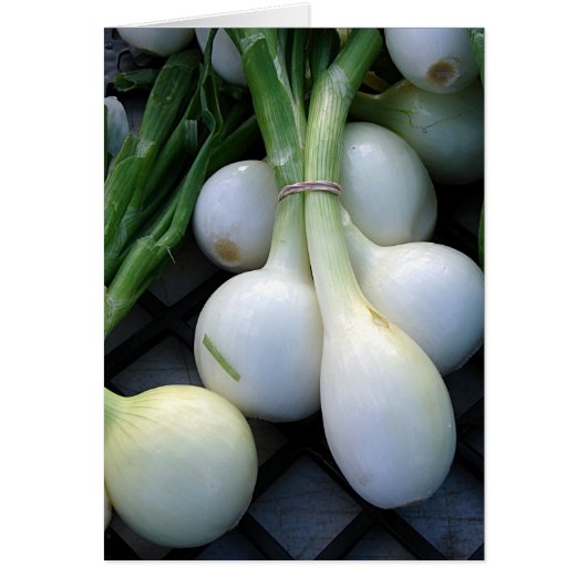 玉ねぎファーマーズマーケット (正面)