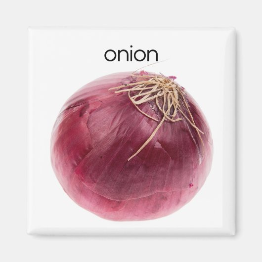 玉ねぎ冷凍機磁石 マグネット (正面)