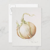 玉ねぎ勉強1993 ポストカード (正面/裏面)