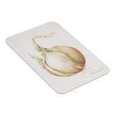 玉ねぎ勉強1993 マグネット (右側)