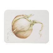 玉ねぎ勉強1993 マグネット (横)