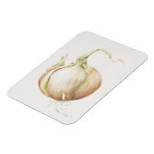 玉ねぎ勉強1993 マグネット (左側)