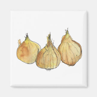 玉ねぎ磁石 マグネット