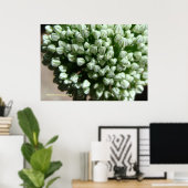 玉ねぎ花芽 ポスター (ホームオフィス)