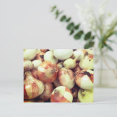 玉ねぎ葉書 ポストカード (スタンド正面)