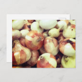 玉ねぎ葉書 ポストカード (正面/裏面)