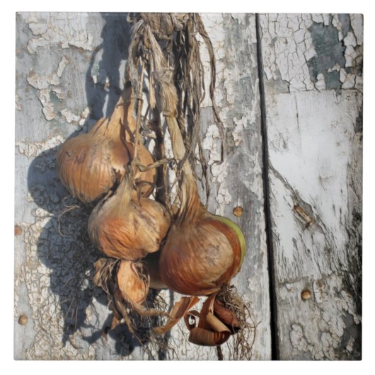 玉ねぎ タイル (正面)