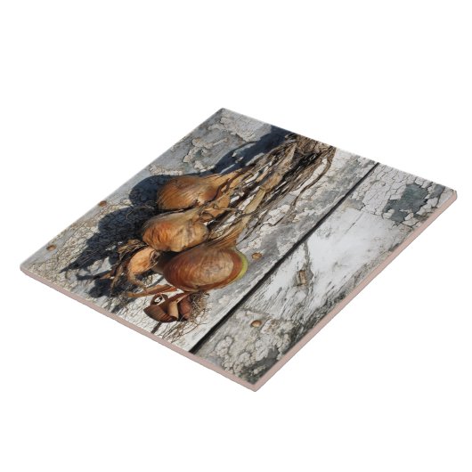 玉ねぎ タイル (側面)