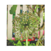 玉ねぎ ノートパッド (正面)