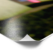 玉ねぎ フォトプリント            (角)