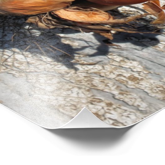 玉ねぎ フォトプリント            (角)