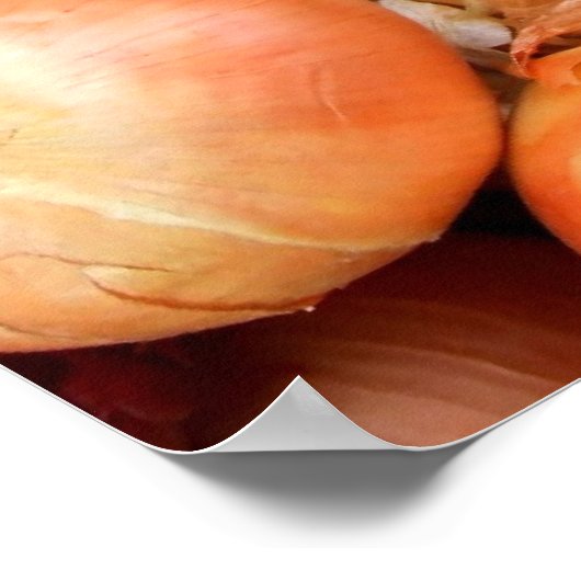 玉ねぎ ポスター (角)