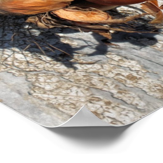 玉ねぎ ポスター (角)