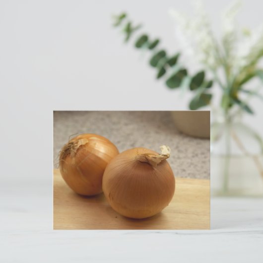 玉ねぎ ポストカード (スタンド正面)