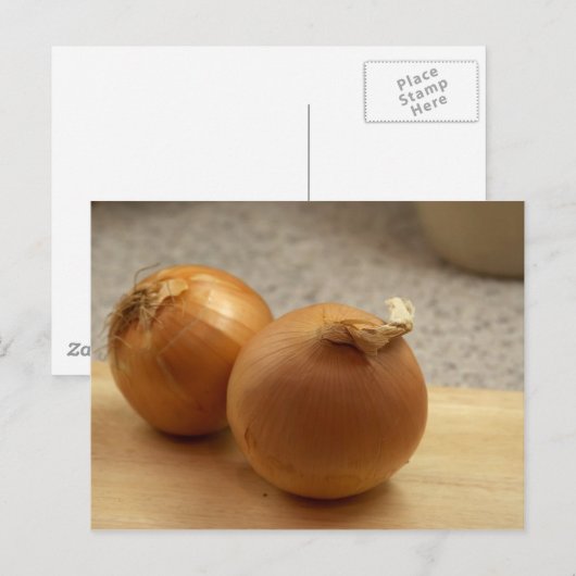 玉ねぎ ポストカード (正面/裏面)