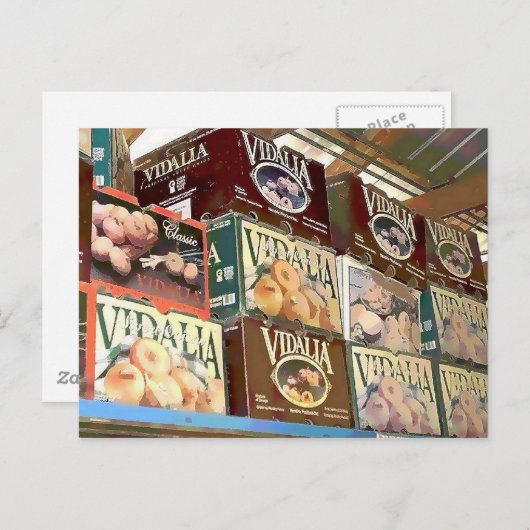 玉ねぎ ポストカード (正面/裏面)