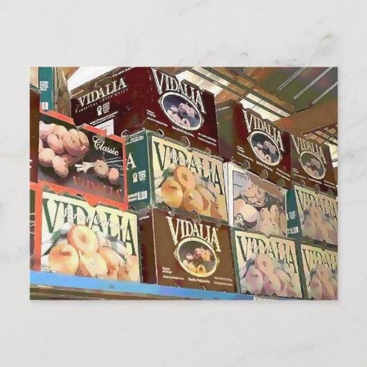 玉ねぎ ポストカード (正面)