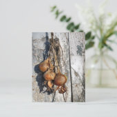 玉ねぎ ポストカード (スタンド正面)