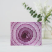 玉ねぎ ポストカード (スタンド正面)