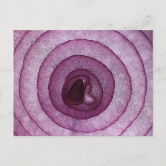 玉ねぎ ポストカード (正面)