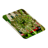 玉ねぎ マグネット (右側)