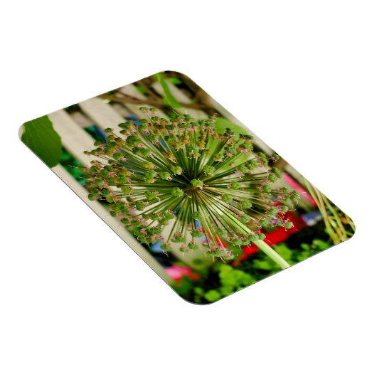 玉ねぎ マグネット (右側)