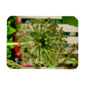 玉ねぎ マグネット (横)