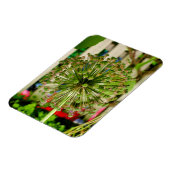 玉ねぎ マグネット (左側)