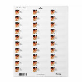 玉ねぎ ラベル (フルシート)