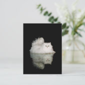 玉グリーンアイズのペルシャ猫 ポストカード (スタンド正面)