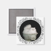 玉グリーンアイズのペルシャ猫 マグネット (正面/裏面)