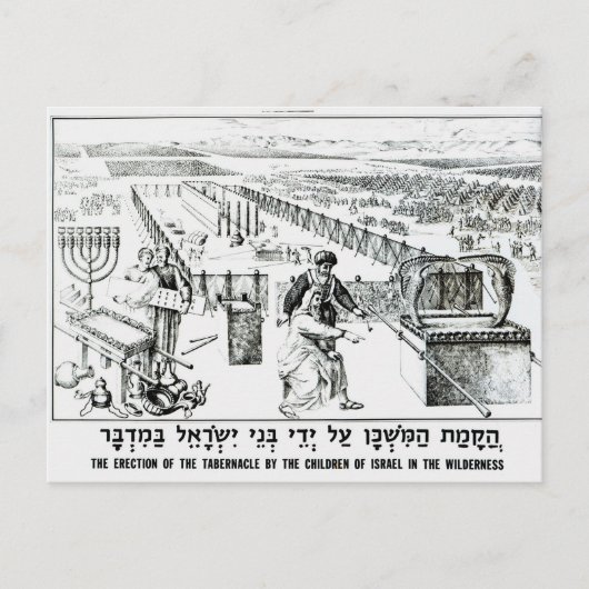 玉座の勃起 ポストカード (正面)