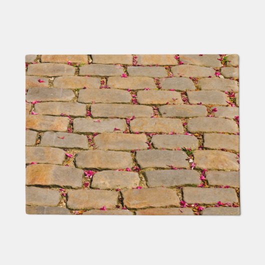 玉石歩く詳細 ドアマット (正面)