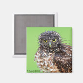 玉縁型フクロウ磁石 マグネット (正面/裏面)