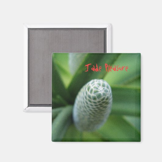 玉遊び マグネット (正面/裏面)