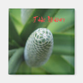 玉遊び マグネット (正面)