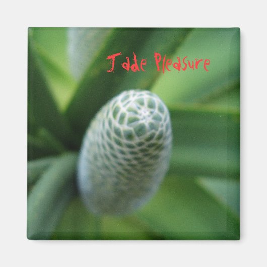 玉遊び マグネット (正面)