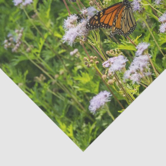 王および女王 薄葉紙 (詳細)