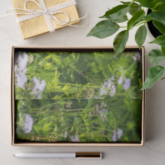 王および女王 薄葉紙 (ギフト)