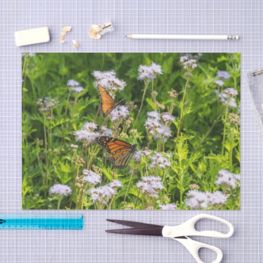 王および女王 薄葉紙 (クラフト)