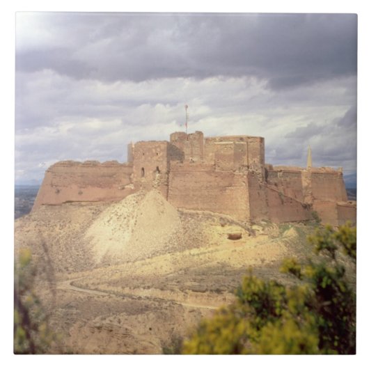 王が彼の幼年時代を使ったところジェームスが、Monzonの城、 タイル (正面)