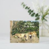 王になることは難しい – ライオンの眠りの写真 ポストカード (スタンド正面)