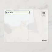 王になることは難しい – ライオンの眠りの写真 ポストカード (裏面)