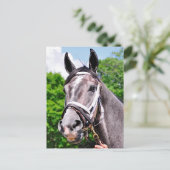 王の一人 ポストカード (スタンド正面)